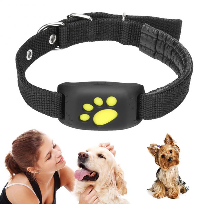 Pet GPS Tracker Collar - epsaxa stores