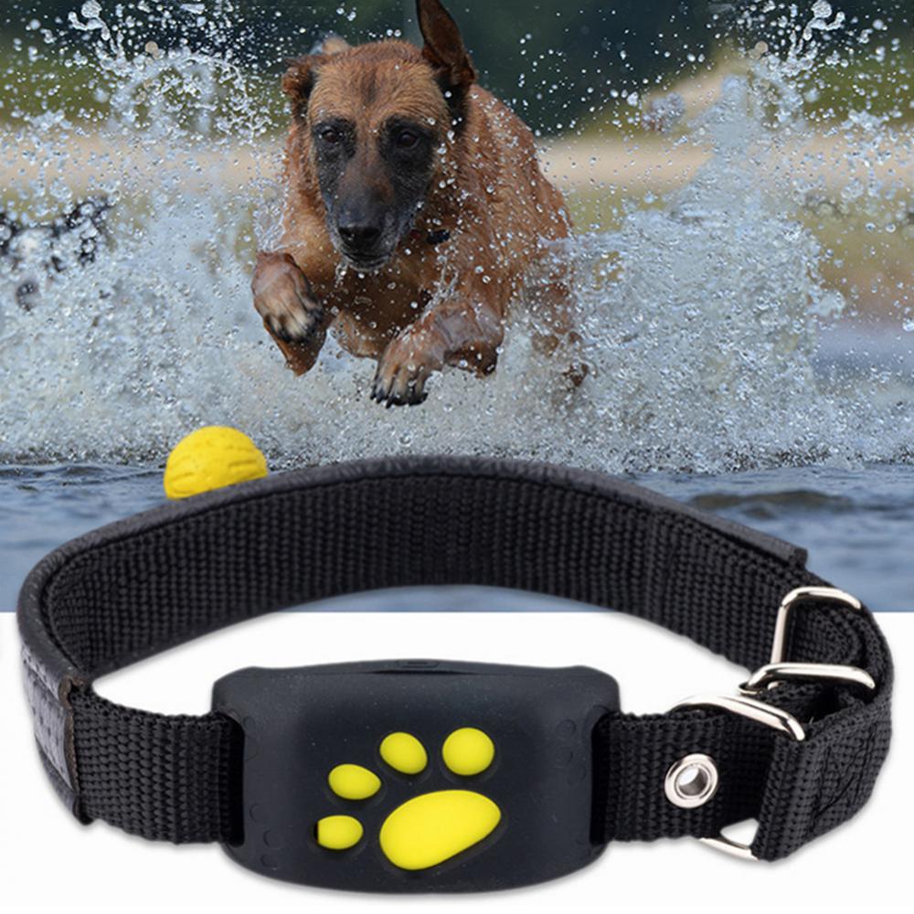 Pet GPS Tracker Collar - epsaxa stores