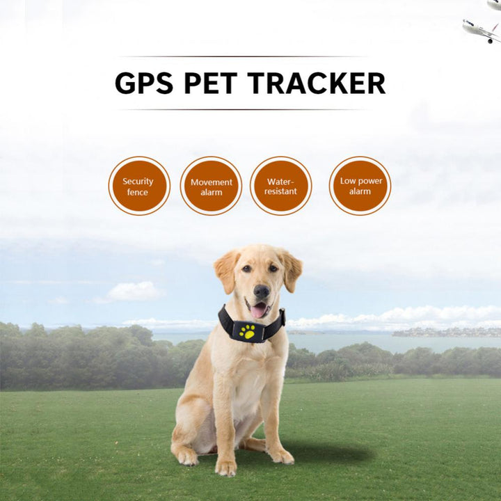 Pet GPS Tracker Collar - epsaxa stores