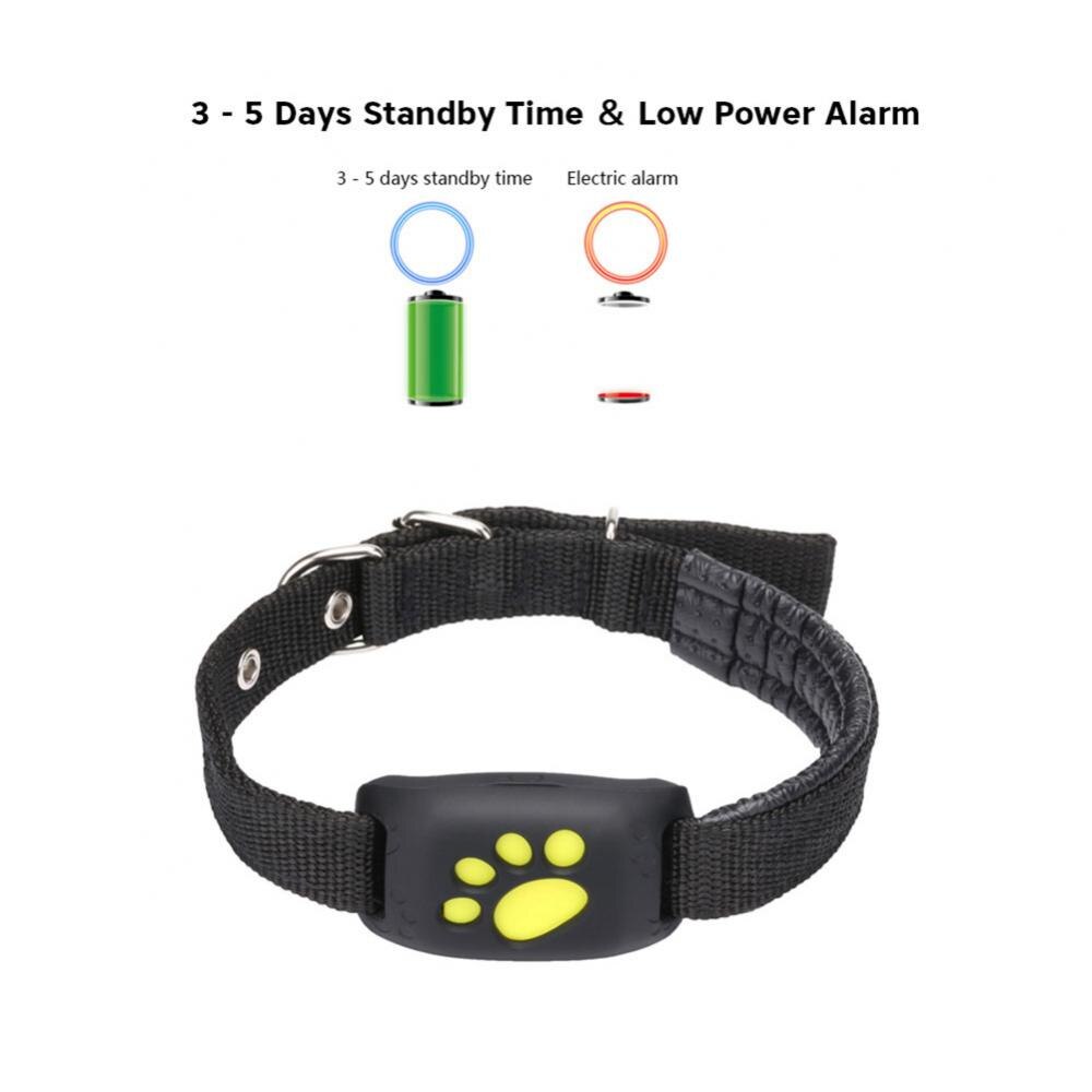 Pet GPS Tracker Collar - epsaxa stores