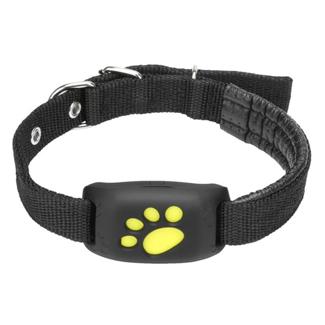 Pet GPS Tracker Collar - epsaxa stores